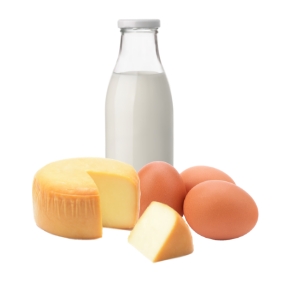 Dairy
